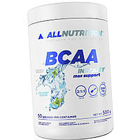 Всаа аминокислоты All Nutrition BCAA Instant Max Support 500 грамм