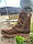 Берці черевики тактичні зимові на євро овчині GLADIATOR KOYOT натуральна шкіра колір коричневий койот, фото 5
