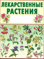 Лечебные растения