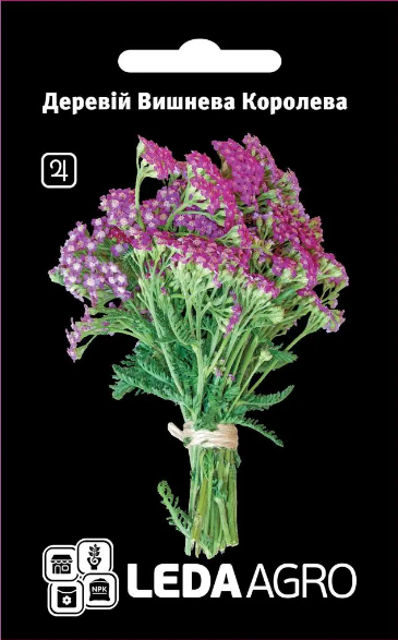 Овочеві рослини, Деревій Вишнева Королева, 0,1 г (Leda Agro), фото 1