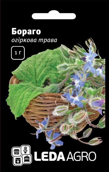 Огіркова трава Бораго 1 г (Leda Agro), фото 1