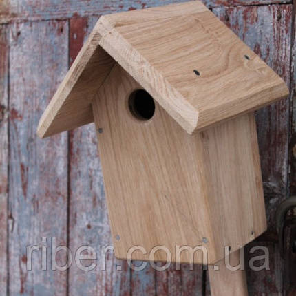 Синичник дубовий №11, фото 1