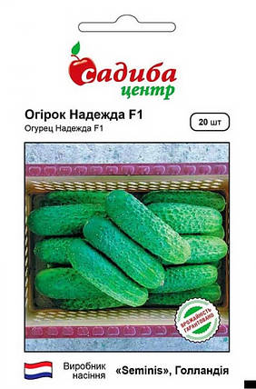 Насіння огірків Надежда F1 20 шт, Seminis, фото 1
