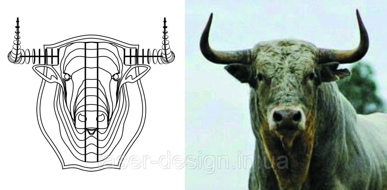 Трофей "Голова быка" 242 - фото 3 - id-p321100912