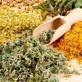 Пряні трави