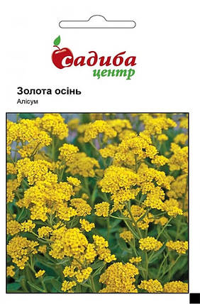 Насіння аліссуму Золота осінь 0,2 г, Садиба Центр, фото 1