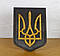 Герб України темний (Тризуб настінний/настільний) 27*20 см   21, фото 2