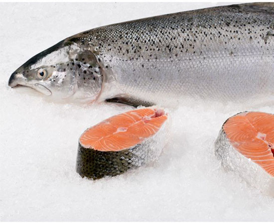 Лосось (семга) Тушка 5-6 Кг — Купить Недорого на Bigl.ua (1365115838)