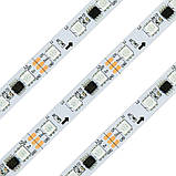 Світлодіодна адресна стрічка UCS1903(WS2811) 12V 5050(60) IP20 RGB, фото 3