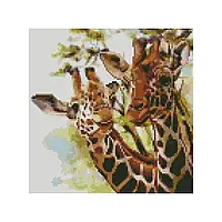 Алмазна вишивка. Картина на підрамнику "Два жирафи", 30х30см
