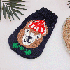В'язаний акриловий светр для котів Pet Style "Мультяшний ведмідь" XS, фото 7