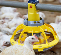 Автоматизированная система кормления птицы, оборудование для кормления