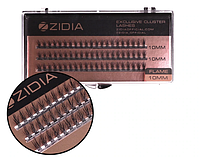 ZIDIA Cluster lashes Flame Series Вії пучкові C 0,10х10 mm, 3 стрічки