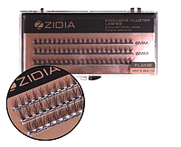 ZIDIA Cluster lashes Flame Series Вії пучкові MIX S C 0,10х8,9,10 mm, 3 стрічки