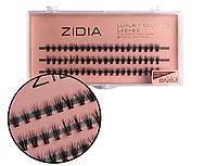 ZIDIA Cluster lashes Вії пучкові 20D MESSY C 0,10х6 mm, 3 стрічки