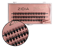 ZIDIA Cluster lashes Вії пучкові 20D MESSY C 0,10х8 mm, 3 стрічки
