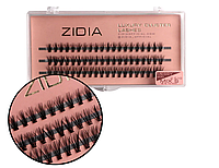 ZIDIA Cluster lashes Вії пучкові 20D MESSY MIX S C 0,10х8,9,10 mm, 3 стрічки