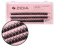 ZIDIA Cluster lashes Вії пучкові 24D C 0,10 MIX S C 0,10х8,9,10 mm, 3 стрічки