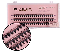 ZIDIA Cluster lashes Вії пучкові 30D MIX S C 0,07х8,9,10 mm, 3 стрічки