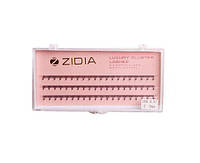 ZIDIA Cluster lashes Вії пучкові 10D C 0,07х5 mm, 3 стрічки