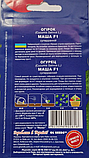 Насіння огірок Маша корнішон F1 (8 шт) партенокарпік ранній самозапильний, For Hobby, TM GL Seeds, фото 3