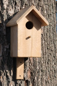 Шпаківня для птахів - дубова №5