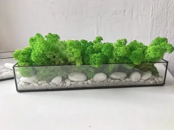 Прямокутний мосаріум флораріум зі стабілізованим мохом 30x10x10 см, фото 1
