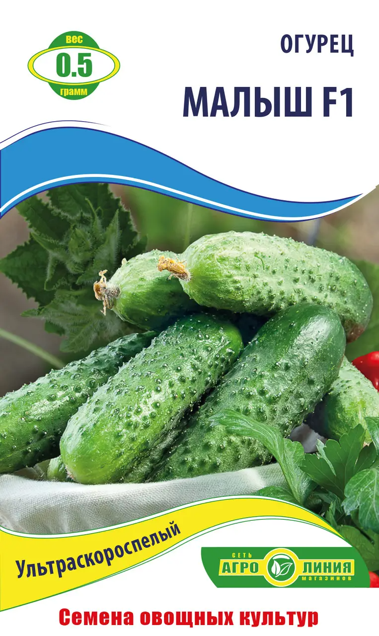 Насіння огірка "Малюк F1" 0,5 г (тм Агролінія)