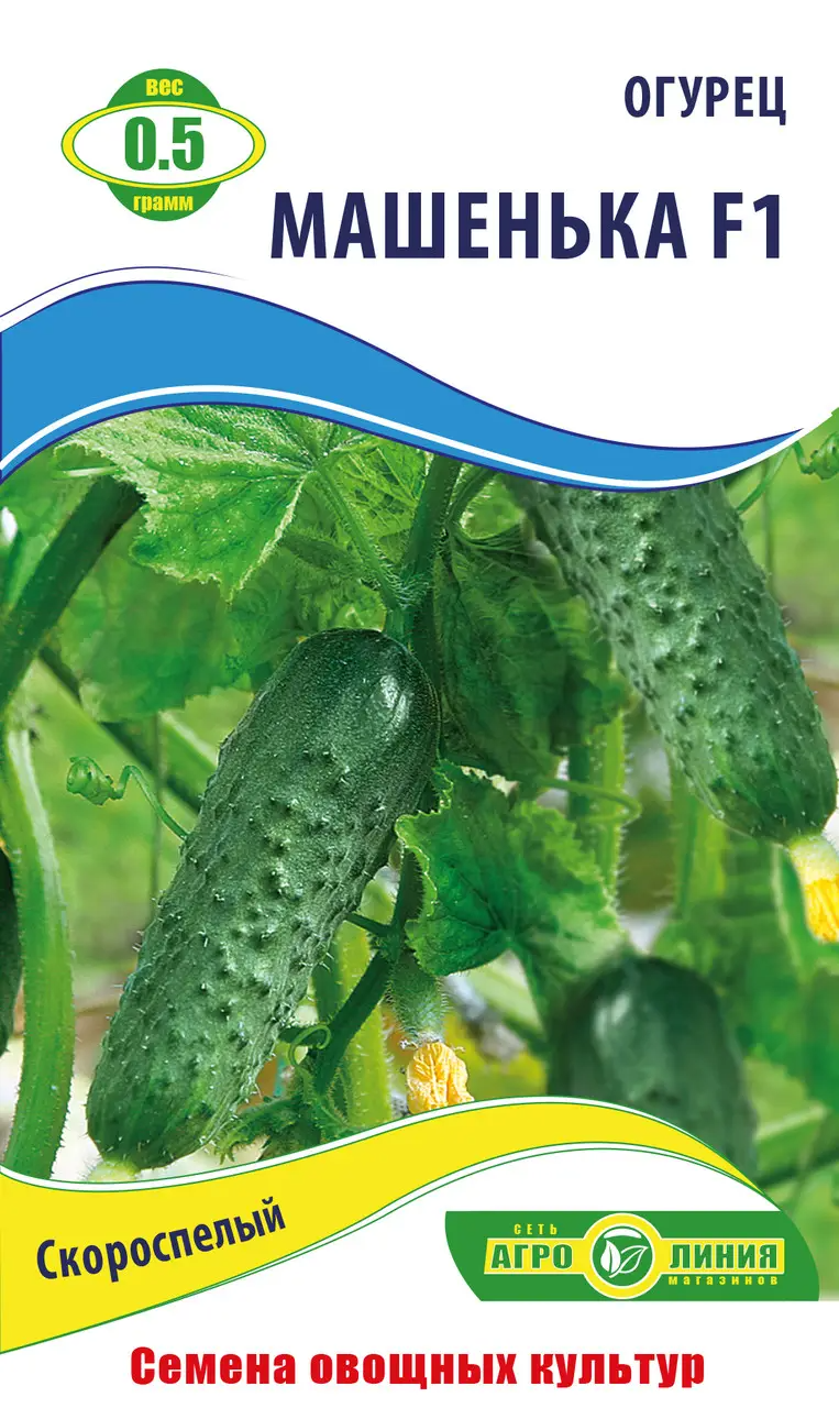 Насіння огірка "Машенька F1" 0,5 г (тм Агролінія)