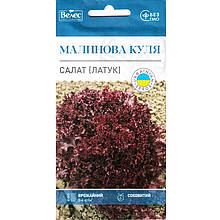 Насіння салату раннього «Малинова куля» (1 г) від ТМ «Велес»