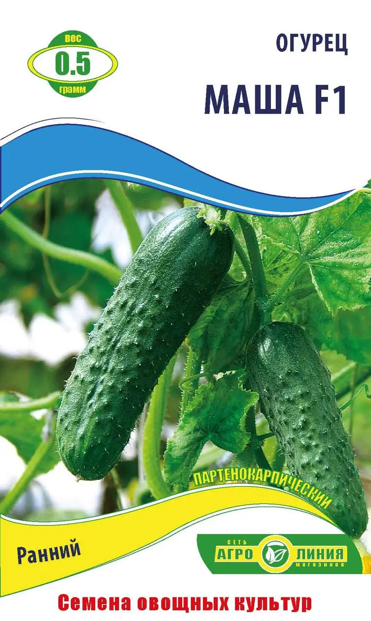Насіння огірка "Маша F1" 0.5 г (тм Агролінія)