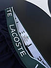 Чоловічий набір трусів Lacoste  ⁇  Комплект чоловічої білизни Лакост їхньої бавовни 3 шт боксери, фото 2