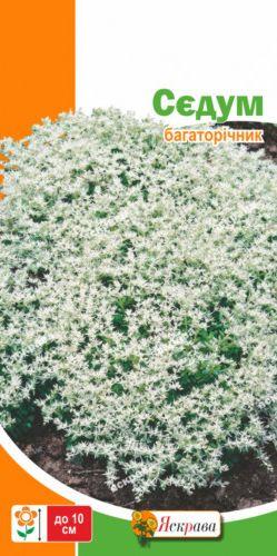 Насіння Сєдум 0,05г ТМ ЯСКРАВА