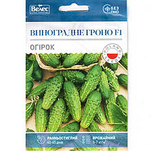 Насіння огірка раннього, самозапильного "Виноградне гроно" F1 (2,5 г) від ТМ "Велес", Україна