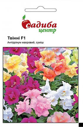 Насіння Антірінум Твінні F1 суміш 20 шт, Hem Genetics, фото 1