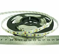 LED-стрічка Rishang SMD2835 120 шт./м 8.6 W/м IP33 12 V (13000 K) RN08C0TA-B 7599