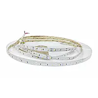 LED лента Rishang SMD2835 60шт/м 6W/м IP20 12V (6500K) (50м бобина) RD0860TA-B 16827