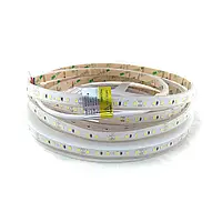 LED лента Rishang SMD2835 120шт/м 8.6W/м IP67 24V (6500К) RD30C0TC-B 13911