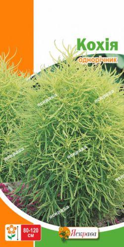 Насіння Кохія 0,5г ТМ ЯСКРАВА