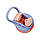 Пляшка для води до школи Baby bottle LB400 500ml Фіолетова пляшка для води з трубочкою, фото 6
