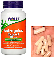 Екстракт кореня астрагала Now Astragalus Extract 500 mg 90 veg caps Vitaminka Vitaminka