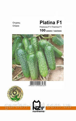 Насіння огірок Платіна F1 100шт. Nunhems Голландія