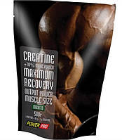 Power Pro Creatine Maximum Recovery with flavour 500 g Vitaminka