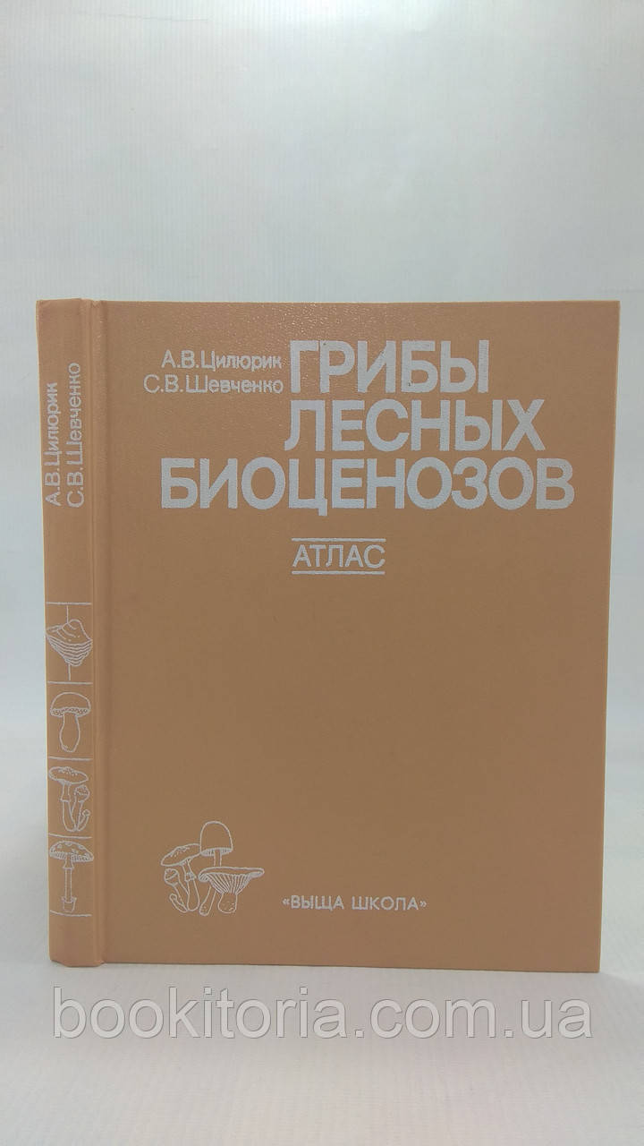 Цилюрик А. В., Шевченко С. В. Гриби лісових біоценозів. Атлас. Б/у.