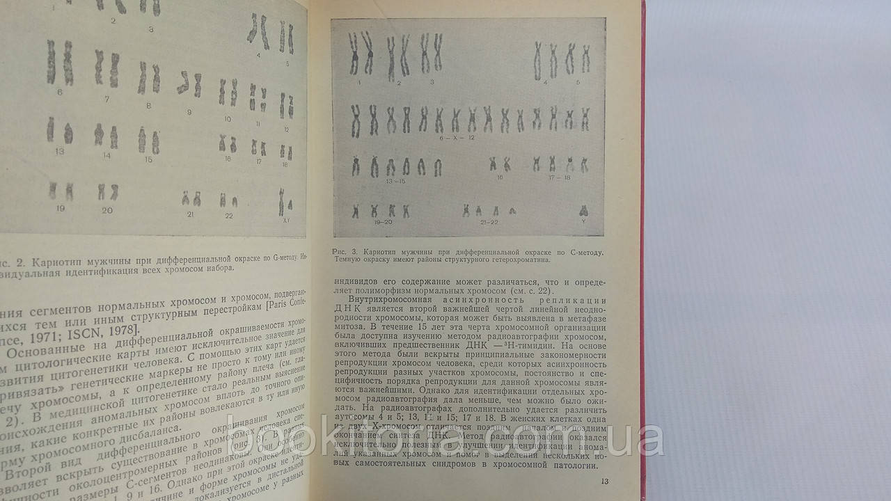 Бочков Н.П., Захаров А.Ф., Иванов В.И. Медицинская генетика. Б/у. - фото 6 - id-p1739832369