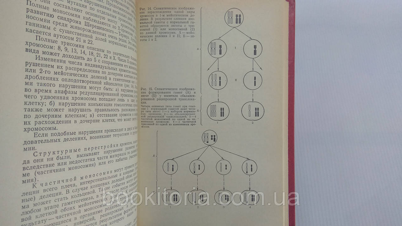 Бочков Н.П., Захаров А.Ф., Иванов В.И. Медицинская генетика. Б/у. - фото 7 - id-p1739832369