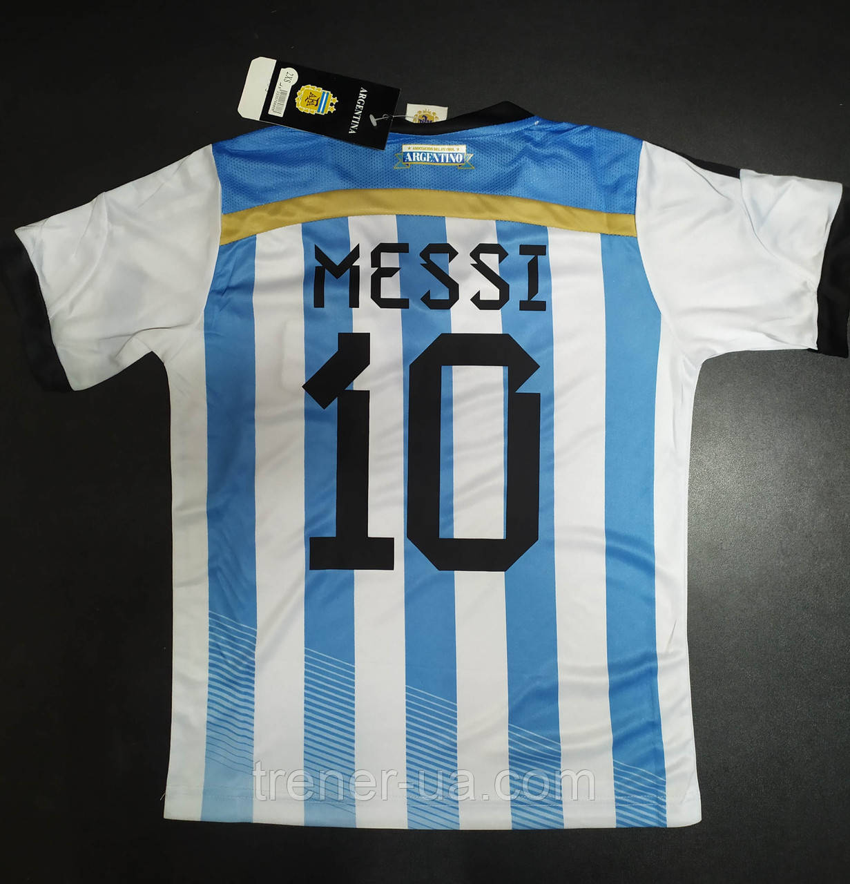Футбольна форма доросла Messi 10 Argentina біло-блакитна