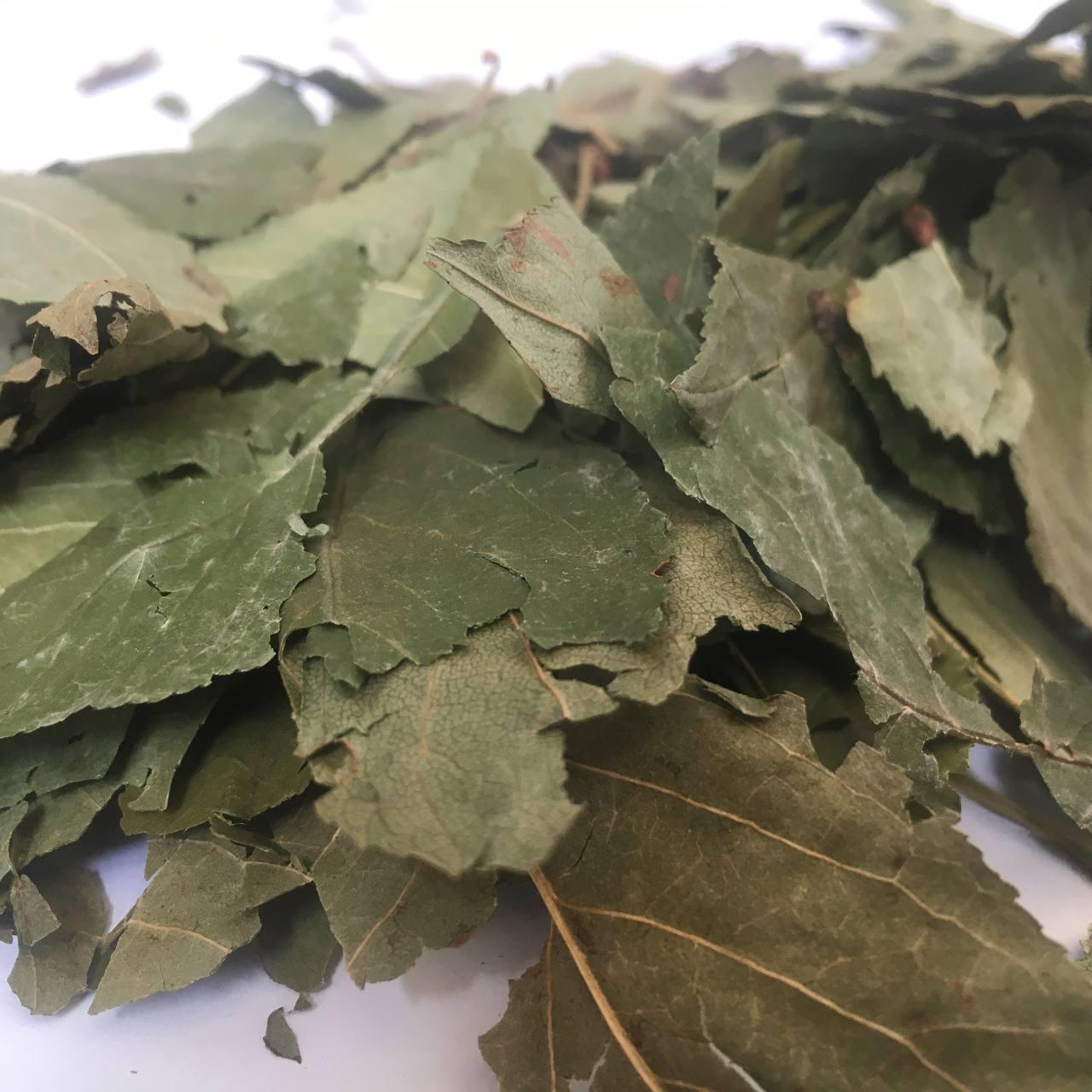 Листья Вишни Карпаты 50 Г — Купить Недорого на Bigl.ua (1739864285)