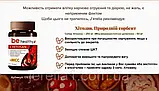 Хітозан. Природній сорбент Джерелія Jerelia 60 капсул, фото 4