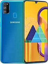 Samsung Galaxy M30s SM-M307F / FN / H, SM-M3070